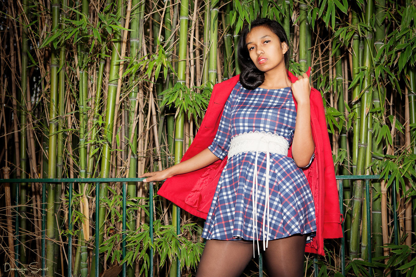 20141128 5D2 22303 web - © Dominique Secret