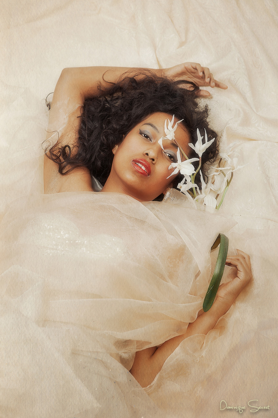 20160112 5D2 46399 web - © Dominique Secret