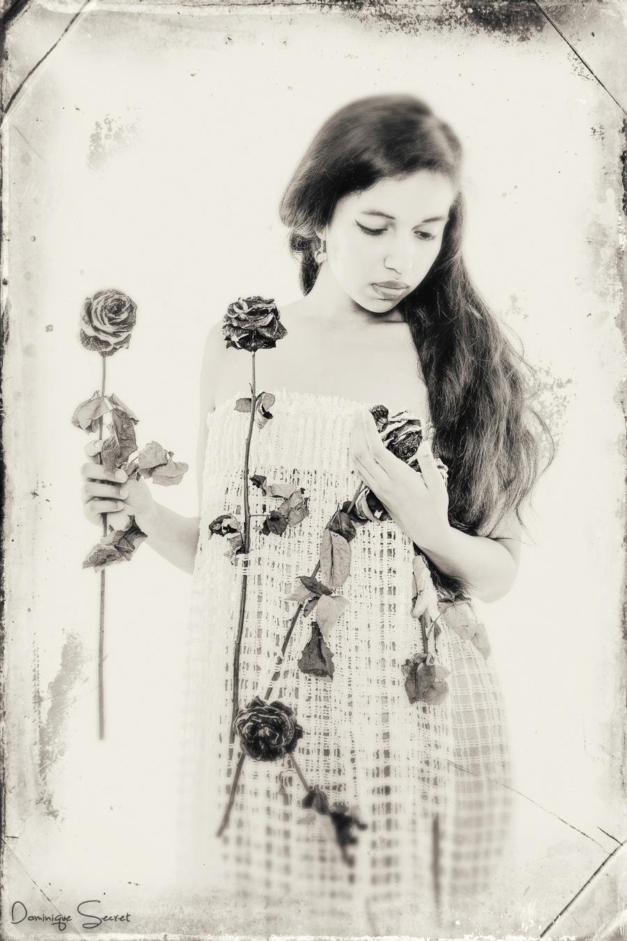 20150731 5D2 37724 web - © Dominique Secret