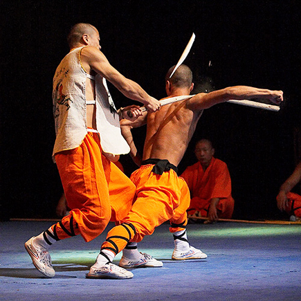 Les Maîtres de Shaolin